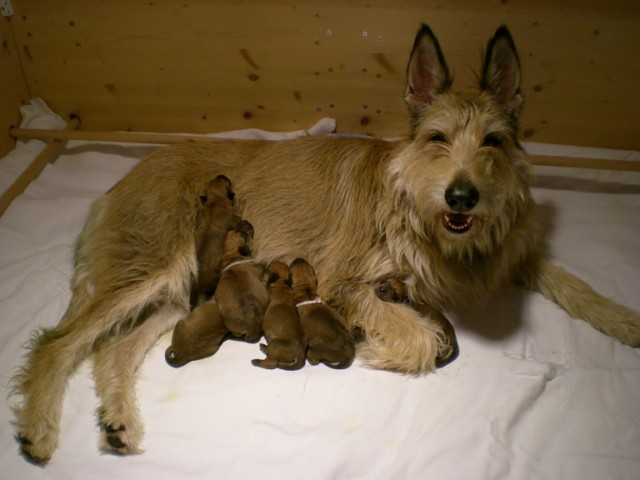 Cayenne et bébés